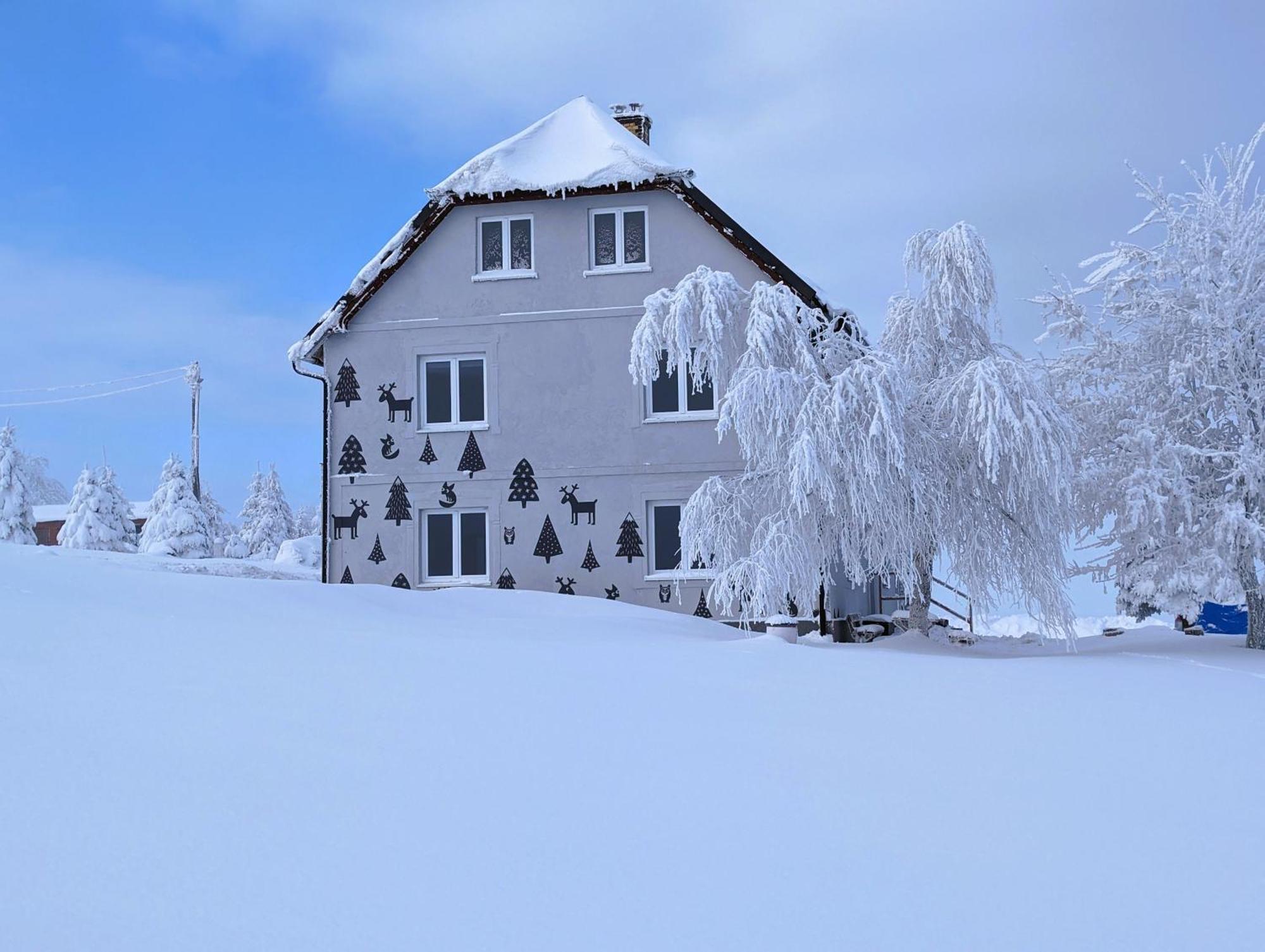 Urtica Apartmany Nova Ves v Horach Exterior foto