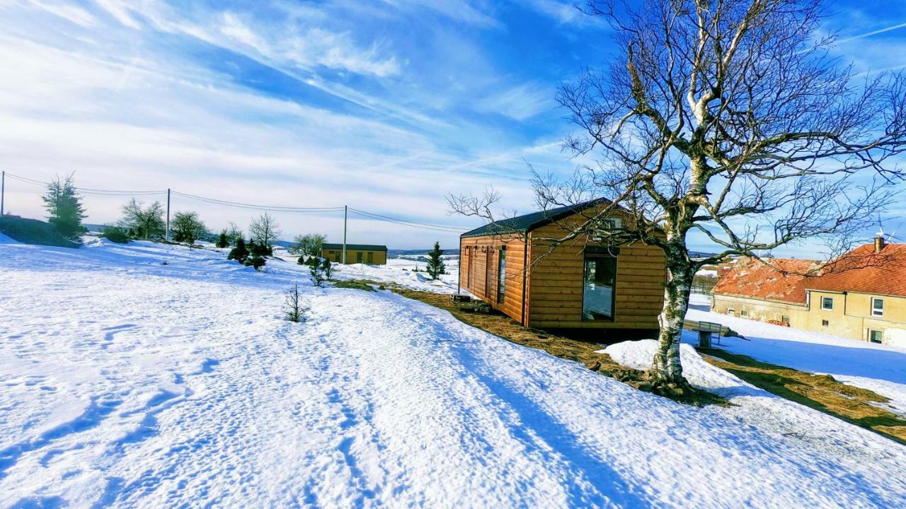 Urtica Apartmany Nova Ves v Horach Exterior foto