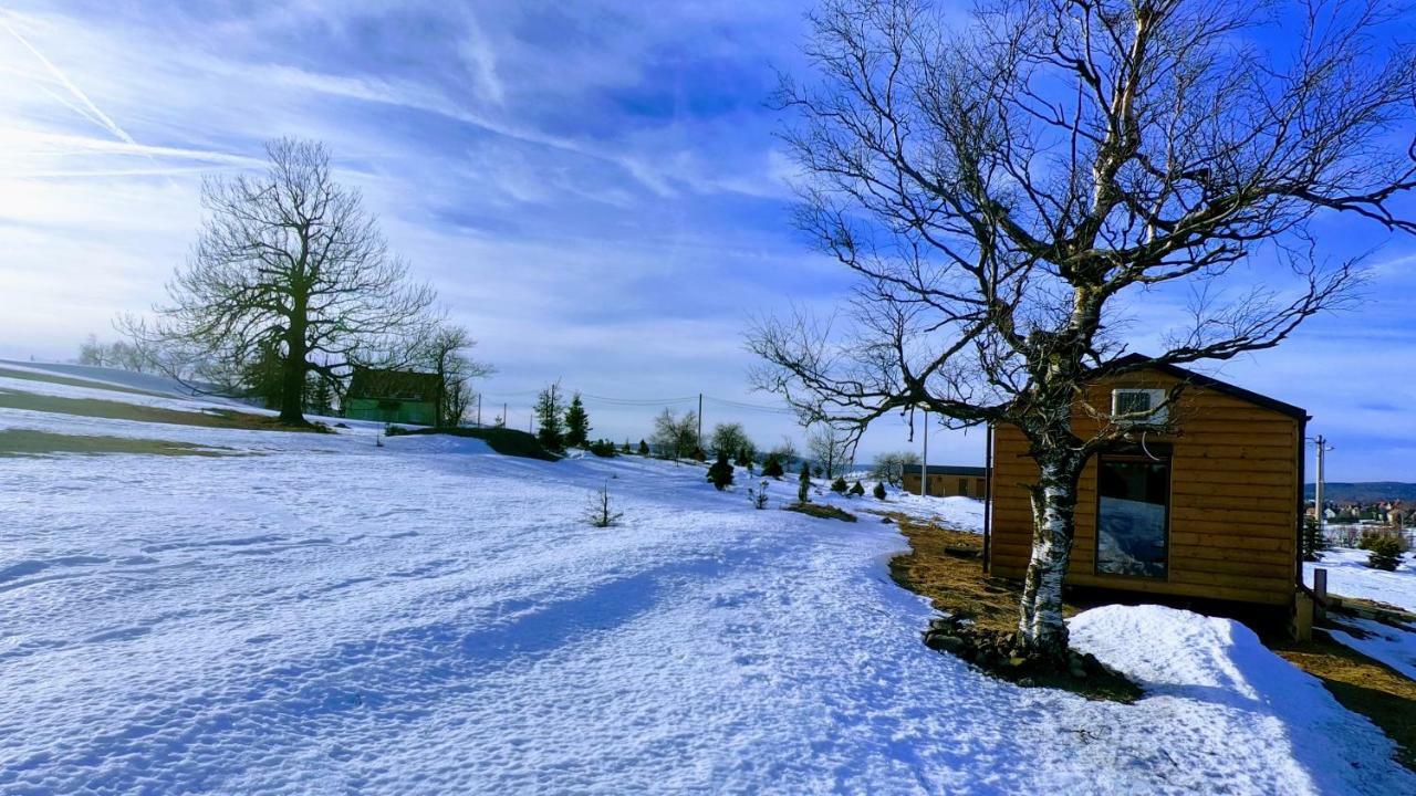 Urtica Apartmany Nova Ves v Horach Exterior foto